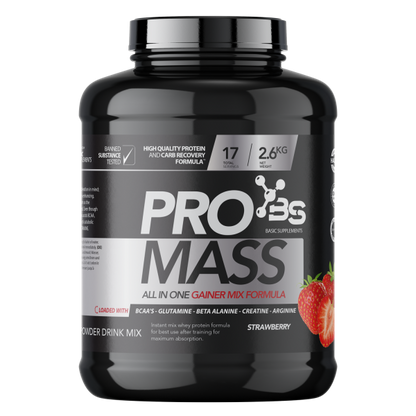 Basic PRO Mass 2.6kg Strawberry