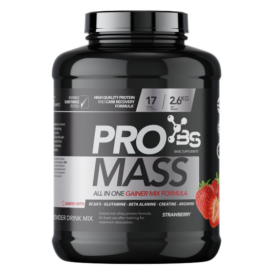 Basic PRO Mass 2.6kg Strawberry
